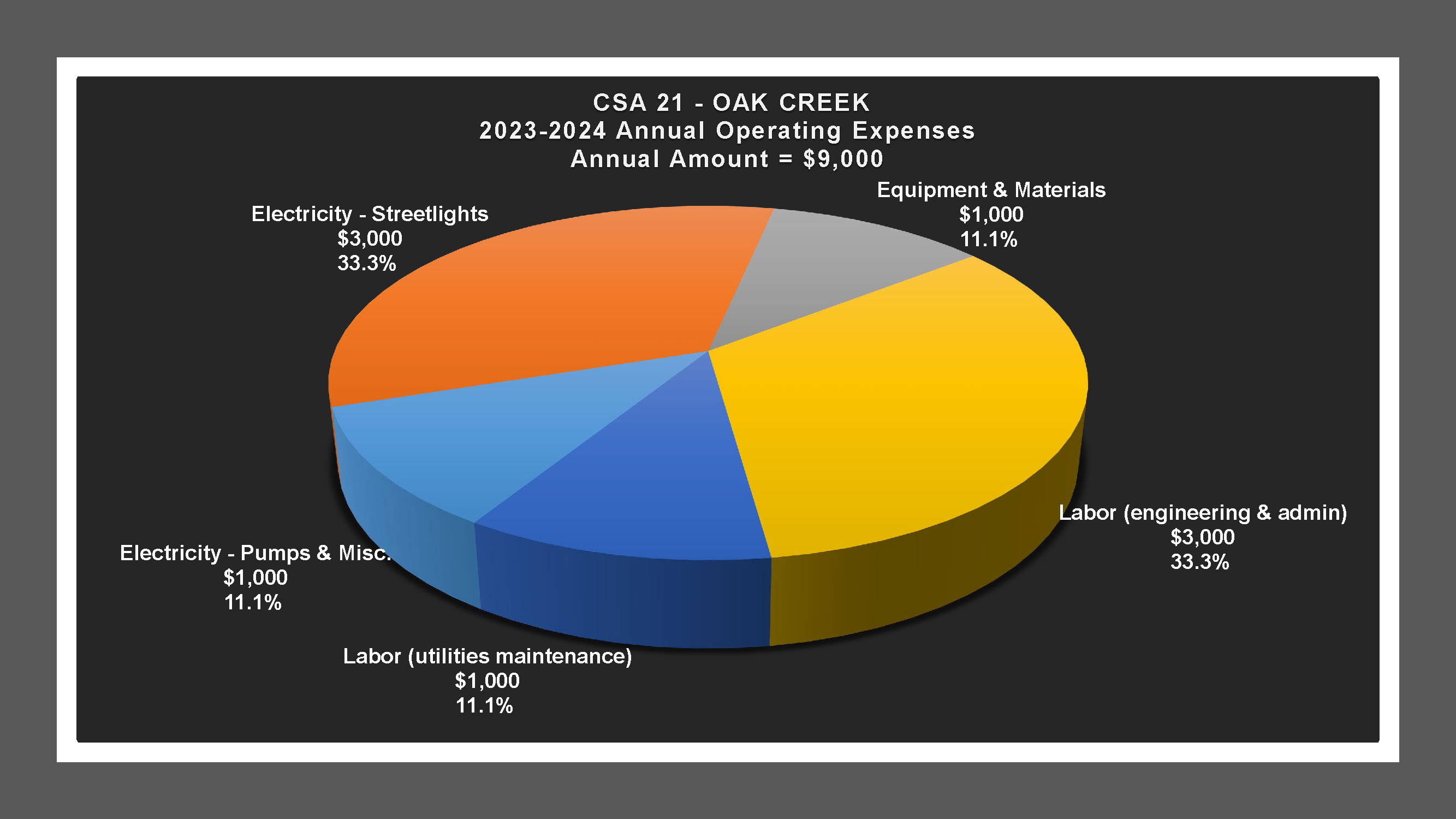 CSA 21 - Expense Report