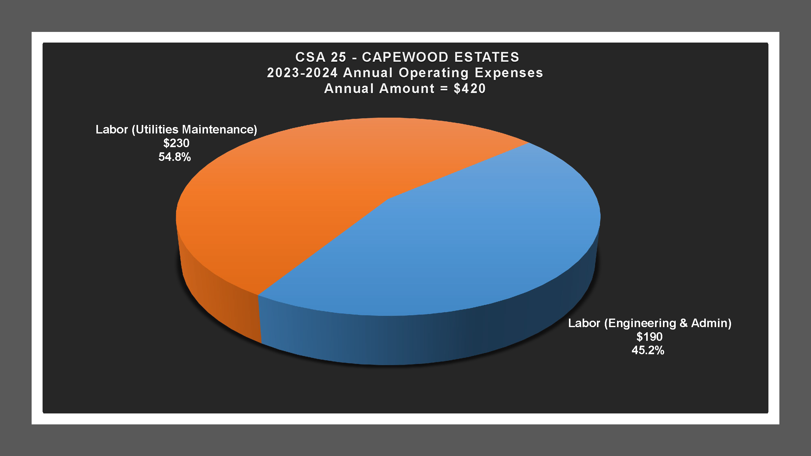 CSA 25 - Expense Report