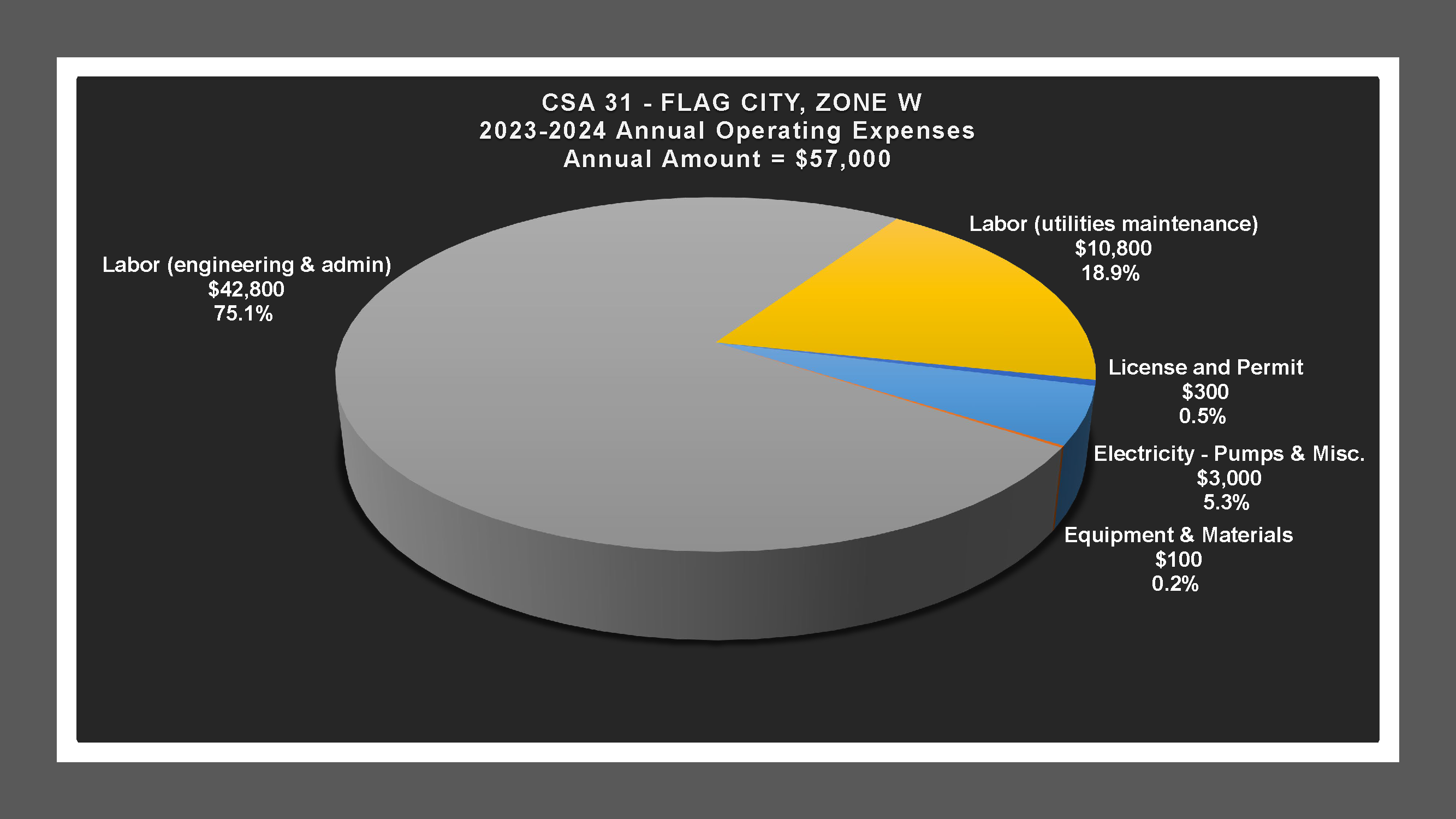 CSA 31 Zone W - Expense Report