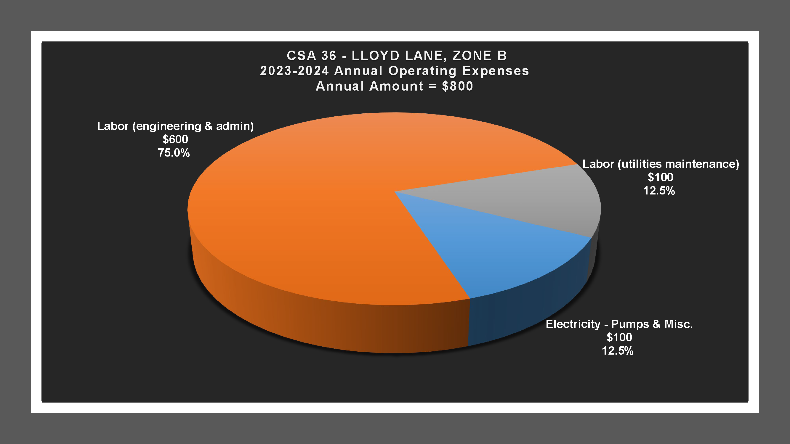 CSA 36 Zone B - Expense Report