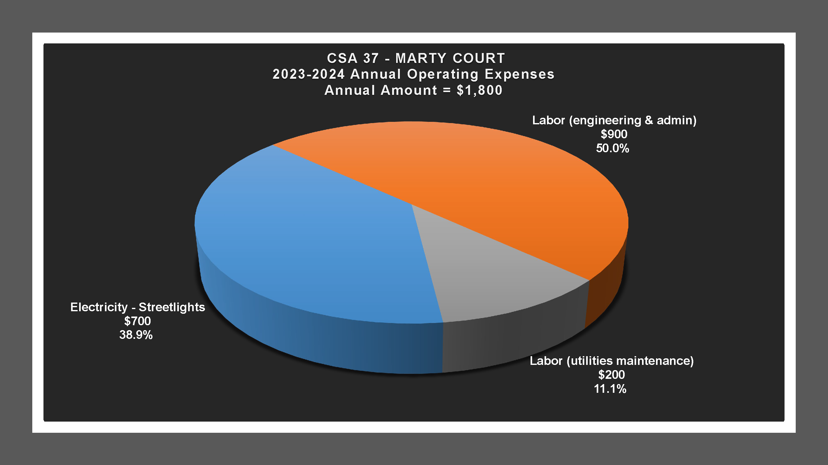 CSA 37 - Expense Report