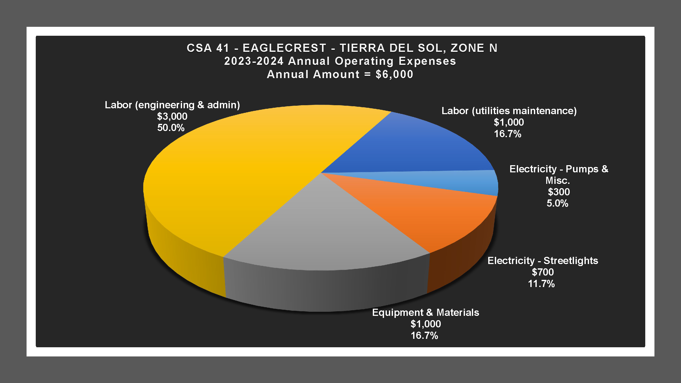 CSA 41 Zone N - Expense Report