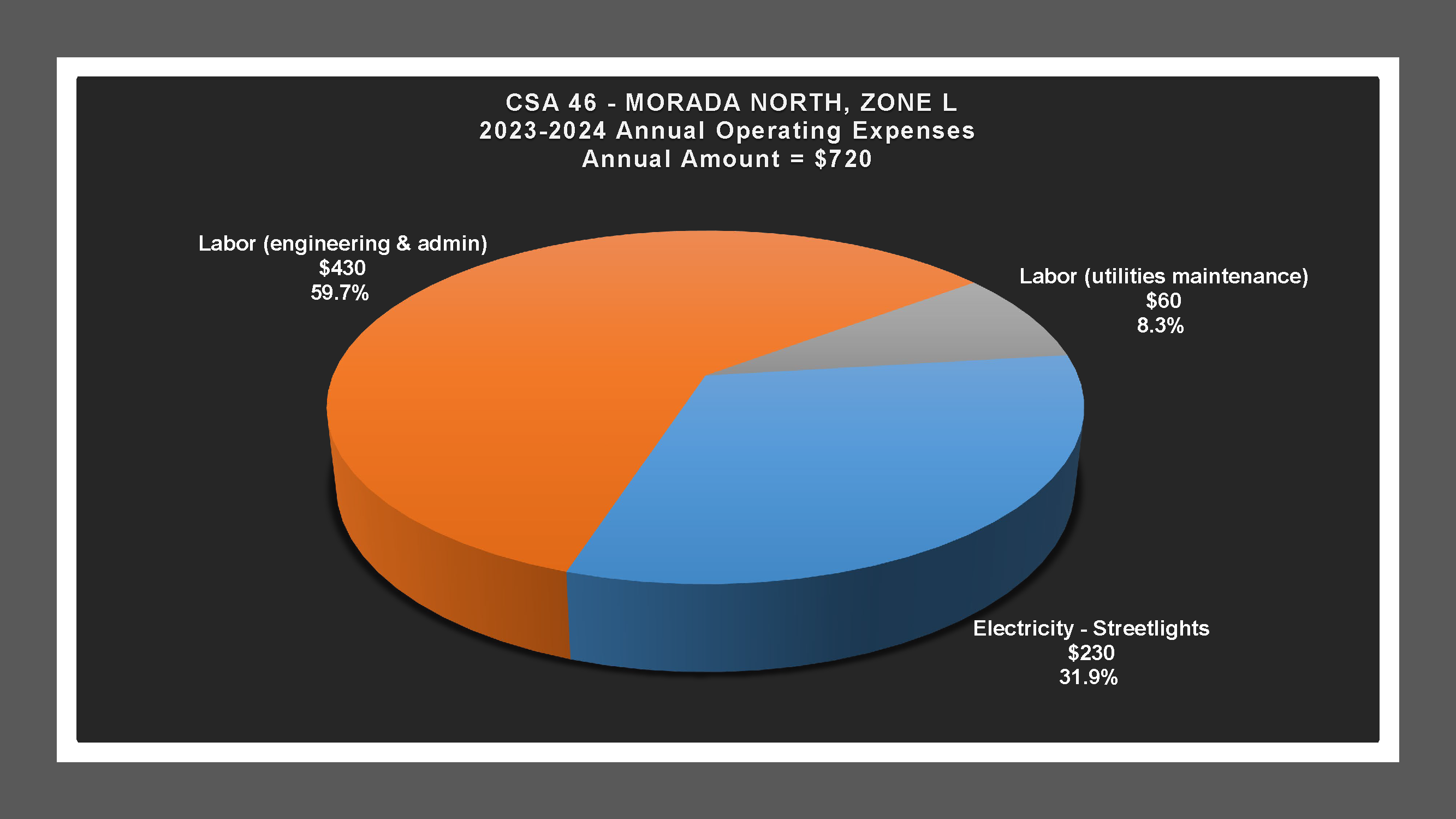 CSA 46 Zone L - Expense Report