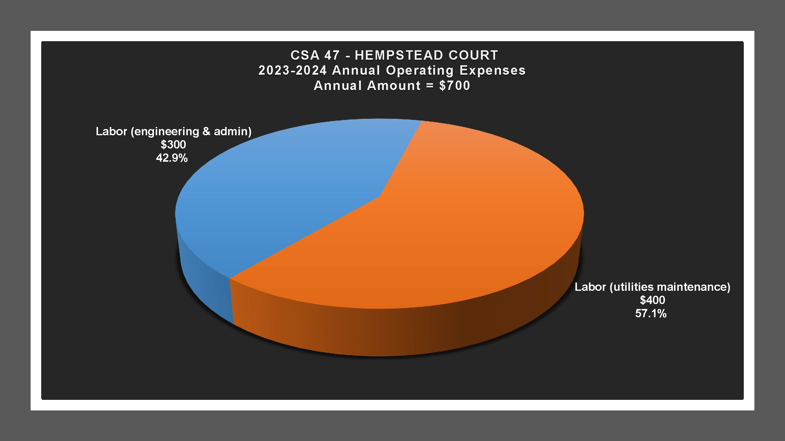 CSA 47 - Expense Report