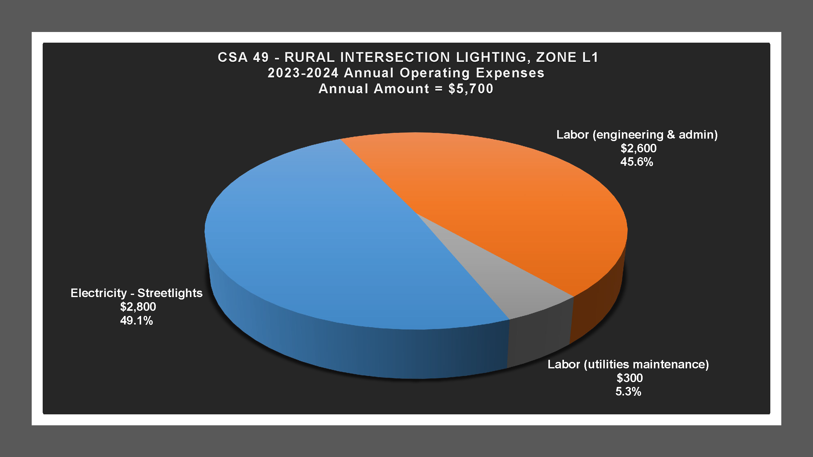 CSA 49 Zone L1 - Expense Report