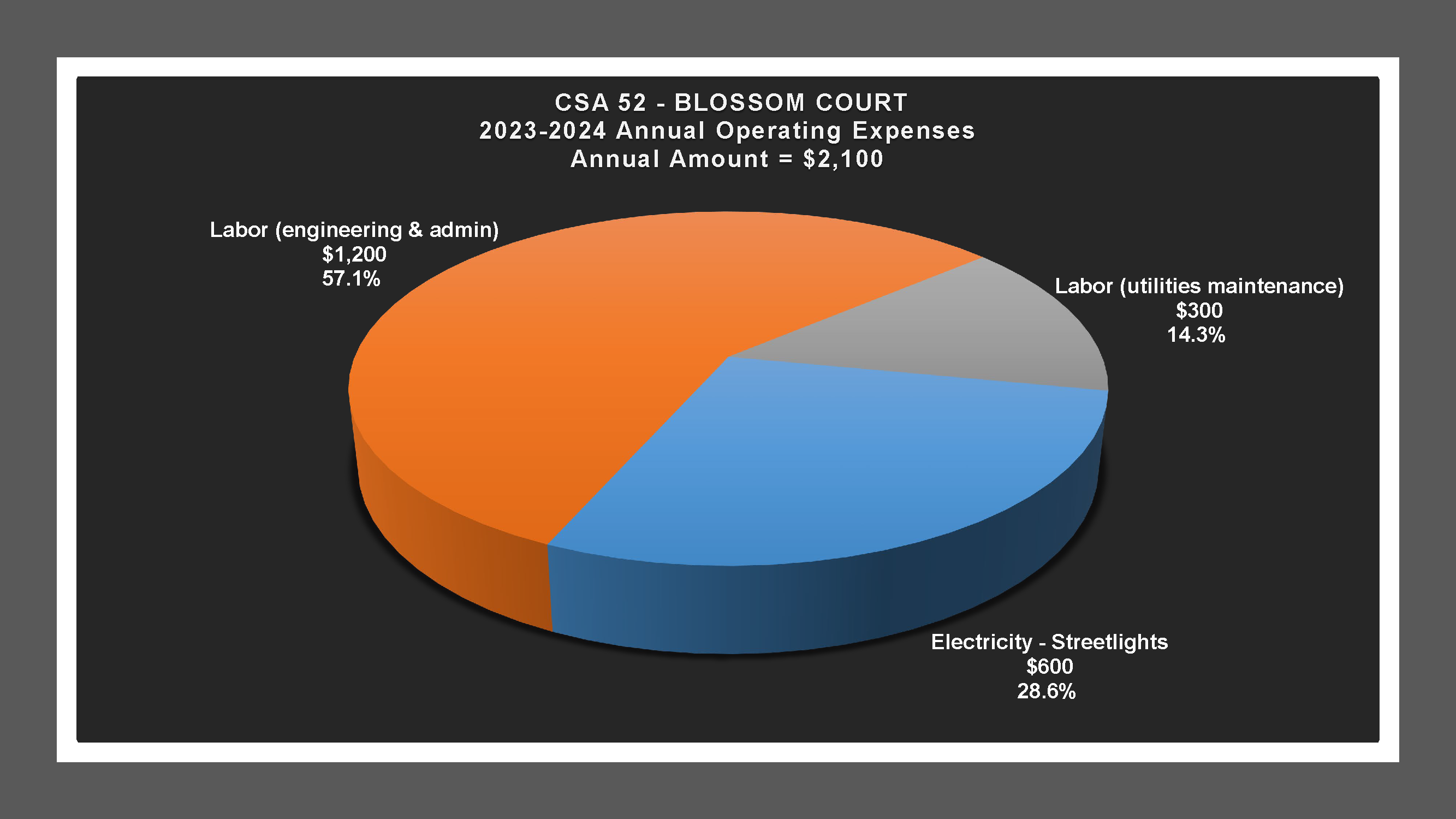 CSA 52 - Expense Report